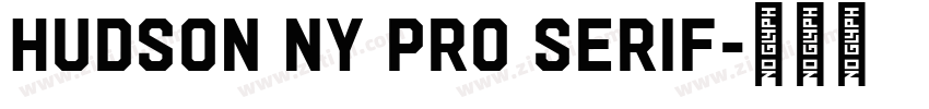 Hudson NY Pro Serif字体转换